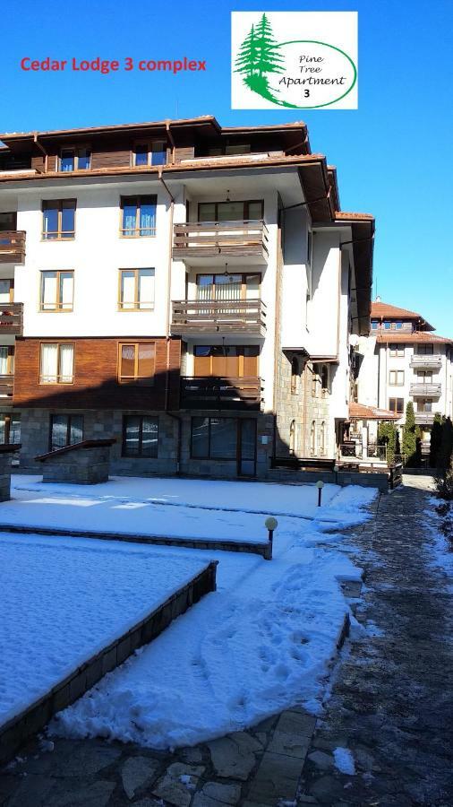 Pine Tree Apartment 3 - B3 Банско Екстериор снимка