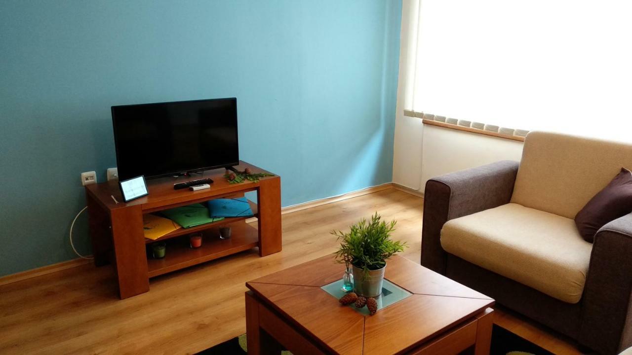 Pine Tree Apartment 3 - B3 Банско Екстериор снимка